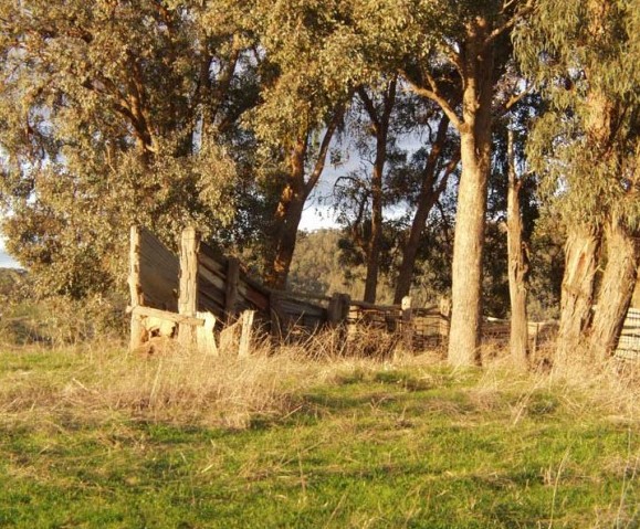 Old Stock Yard, July 11, 2004.