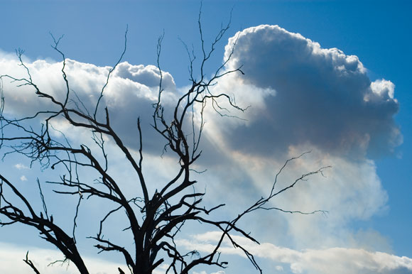 Autumn Smoke Cloud