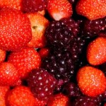 Strawberries and Loganberries, December, 2010