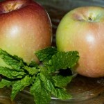 Snow apples and mint, February, 2010