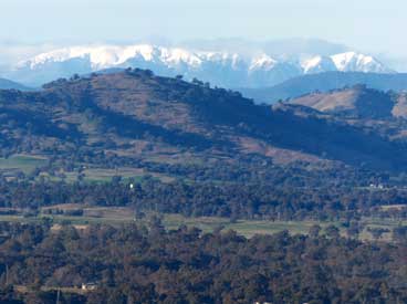 Snow on Bogong as viewed from Albury