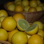 Over ripe limes, 29th June, 2011.