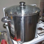 Simmering dye pot, lid "on". Simmering dye pot, lid "on".