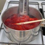Roving and orange dye. Roving and orange dye.
