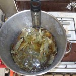 Eucalyptus leaves simmering in pot Eucalyptus leaves simmering in pot