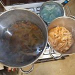 2nd extraction and pre-mordanting cotton and silk 2nd extraction and pre-mordanting cotton and silk