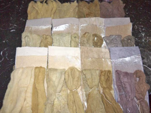 All samples from the first two rounds of dye tests.