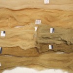 Wool roving, no mordant. Wool roving, no mordant.