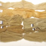 Wool roving, alum mordant.