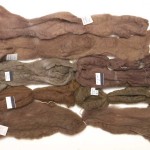 Wool roving, iron mordant.