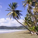 Beach in Tobago