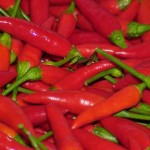 Birdseye Chilli Harvest