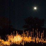 Moon rise, June 2008.