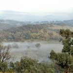 Hills in the Mist