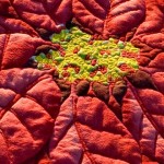 Quilted Poinsettia