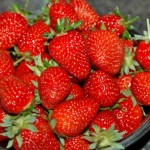 Strawberries